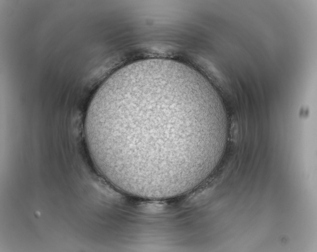 X0000090780318200708172133