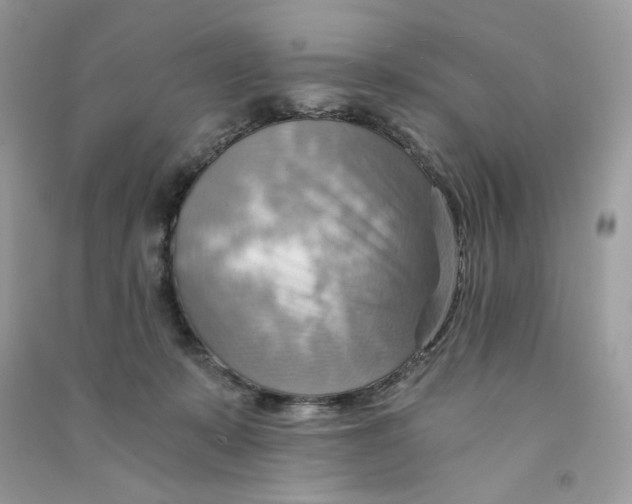 X0000090780319200708172133