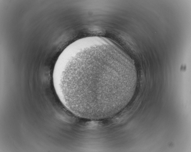 X0000090780320200708172133