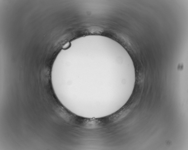 X0000090780321200708172133