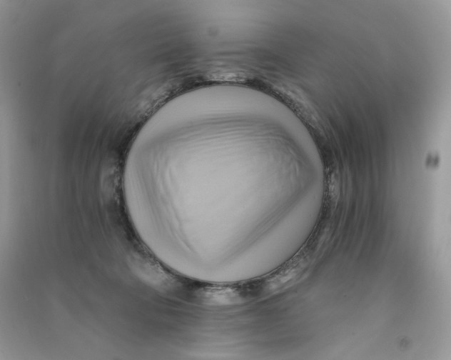 X0000090780322200708172133