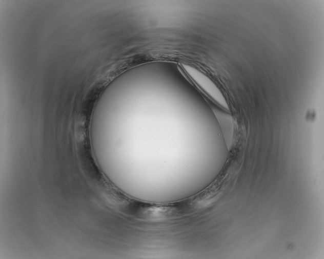 X0000090780323200708172133