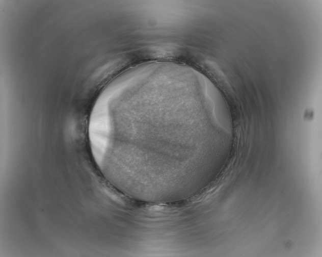 X0000090780325200708172133