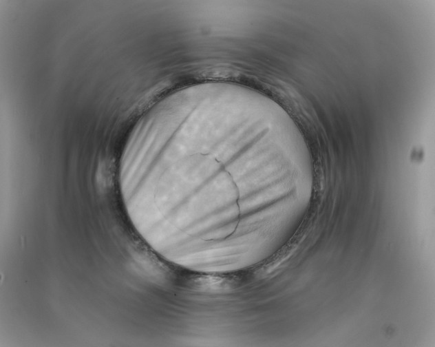 X0000090780326200708172133