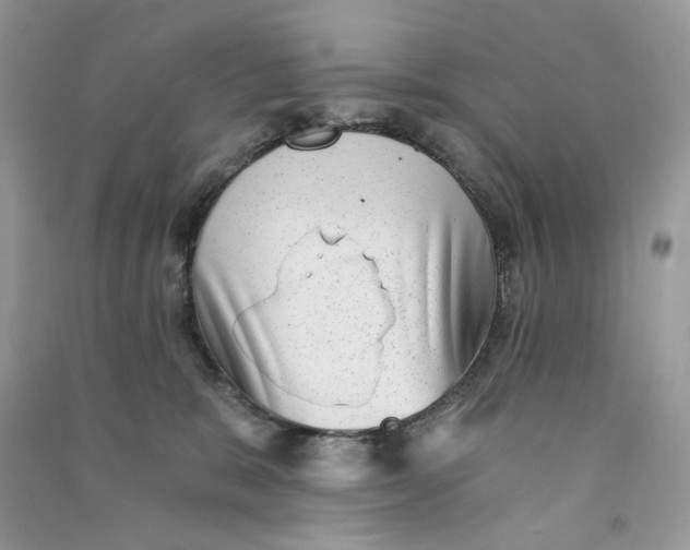 X0000090780327200708172133