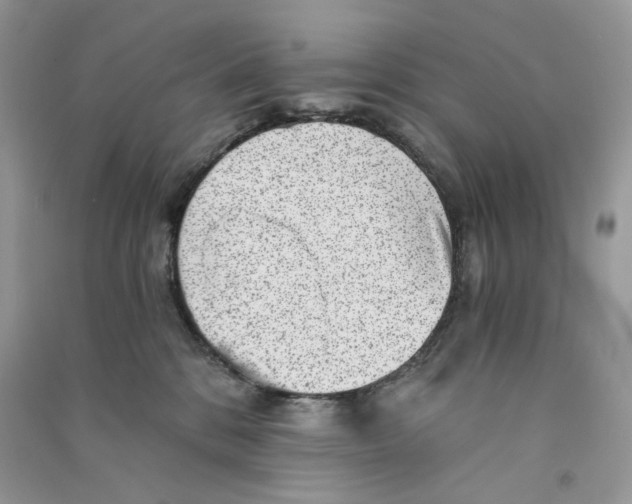 X0000090780328200708172133