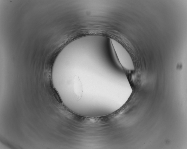 X0000090780329200708172133