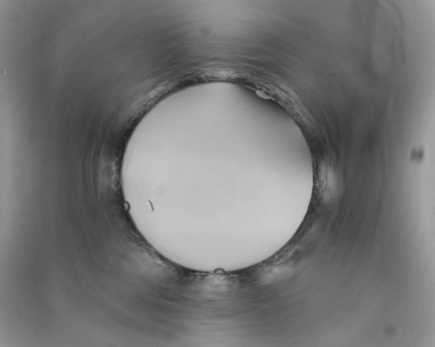 X0000090780330200708172133