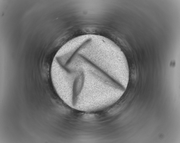 X0000090780332200708172133