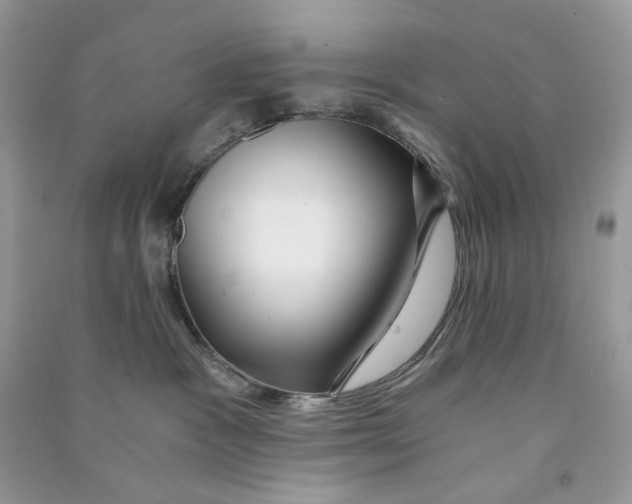 X0000090780333200708172133