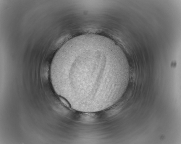 X0000090780334200708172133