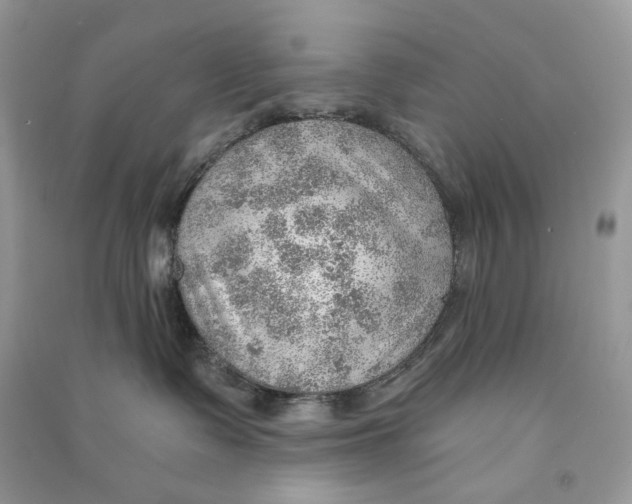 X0000090780335200708172133