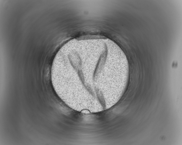 X0000090780336200708172133