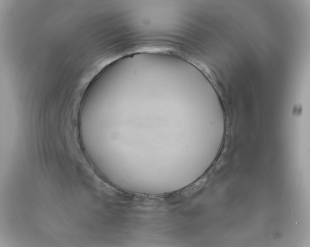X0000090780337200708172132