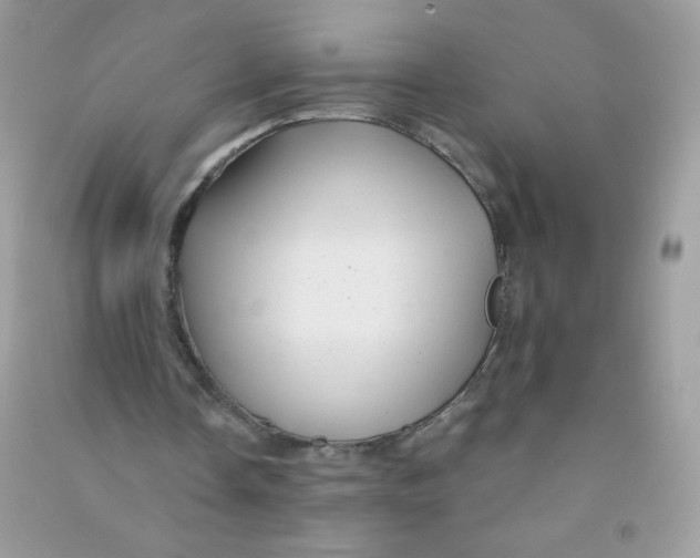 X0000090780338200708172132