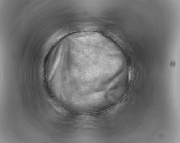 X0000090780339200708172132