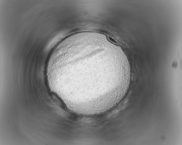 X0000090780341200708172132