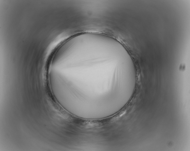 X0000090780343200708172132
