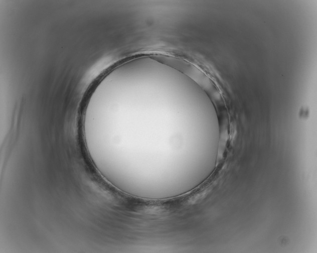 X0000090780344200708172132