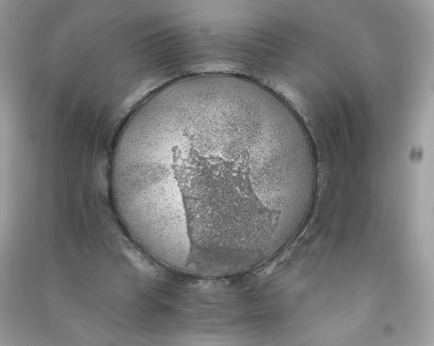 X0000090780345200708172132