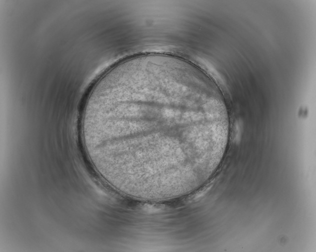 X0000090780346200708172132