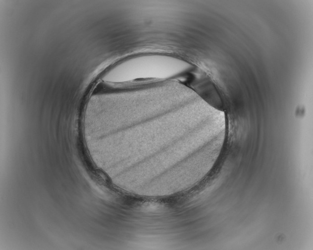 X0000090780348200708172132