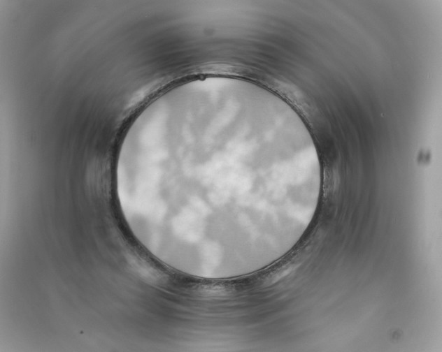 X0000090780349200708172132