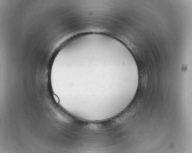 X0000090780350200708172132