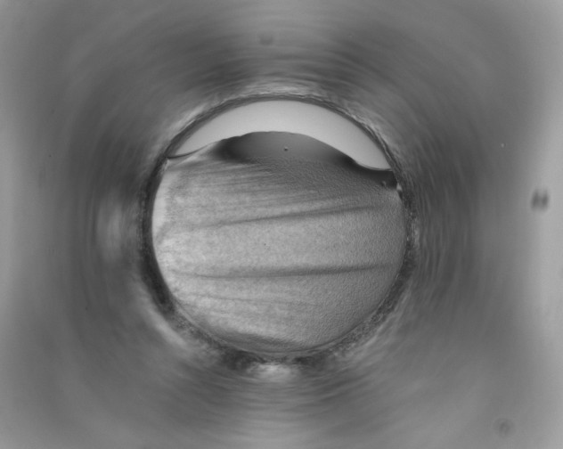X0000090780352200708172132