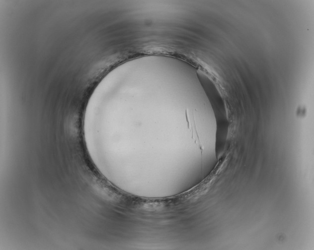 X0000090780353200708172132