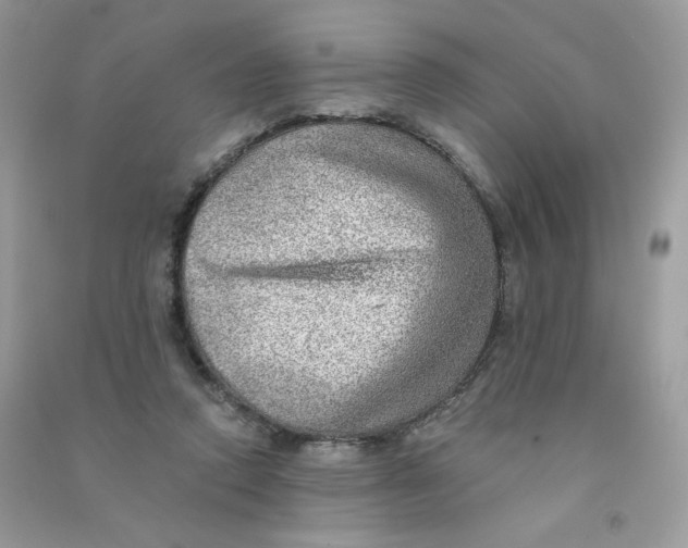 X0000090780354200708172132