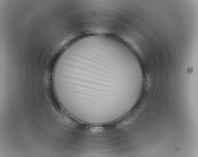 X0000090780355200708172132