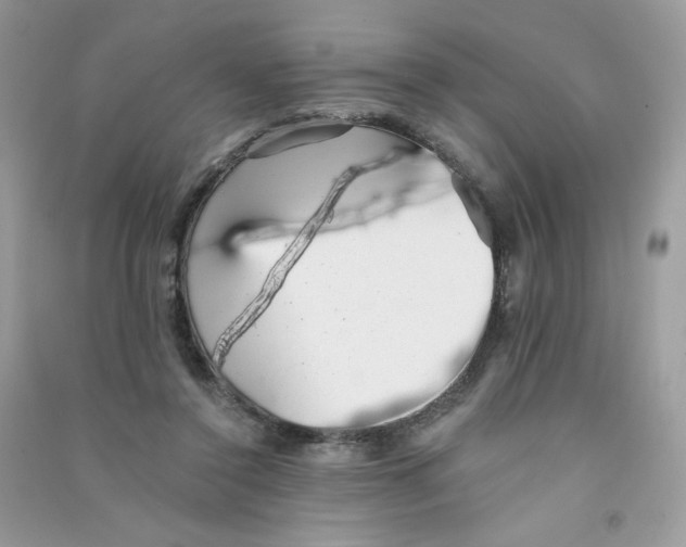 X0000090780356200708172132