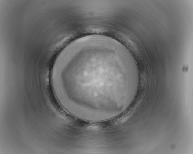 X0000090780358200708172132