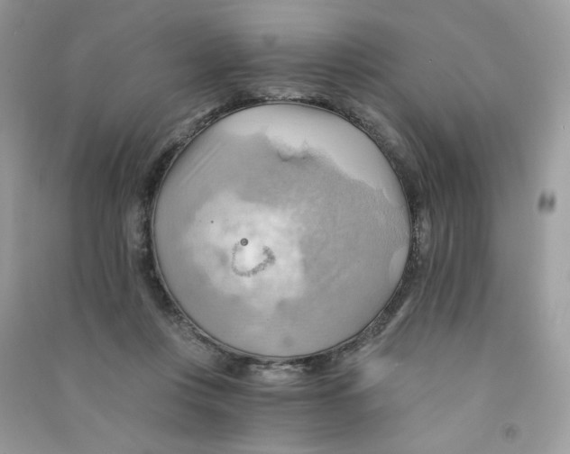X0000090780359200708172133