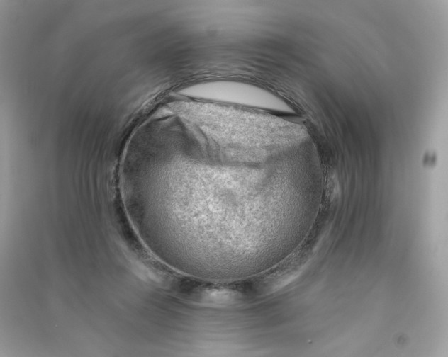 X0000090780360200708172133