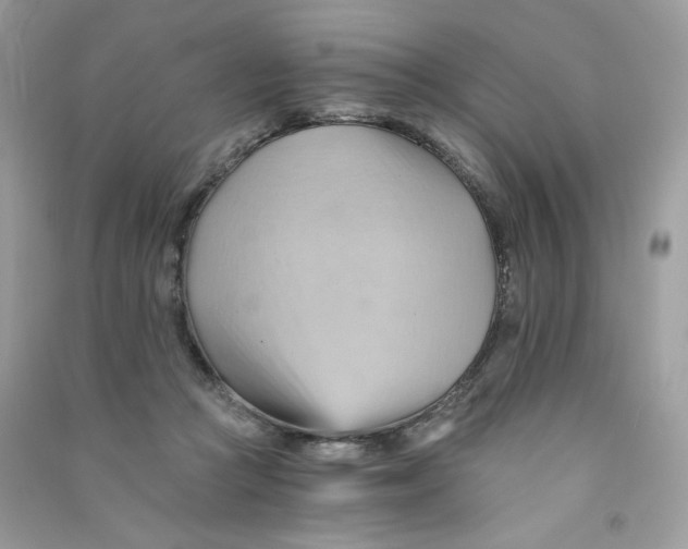 X0000090780361200708172133