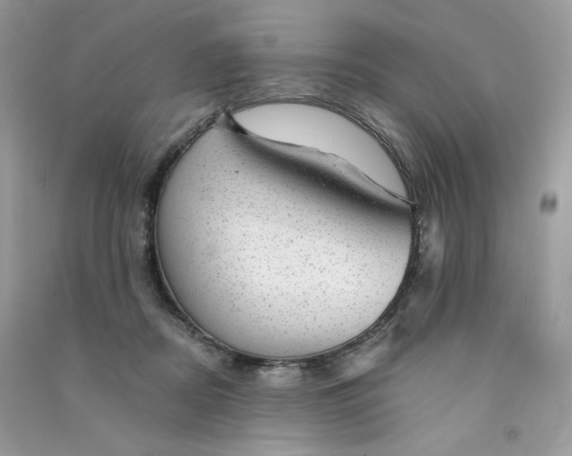 X0000090780362200708172133
