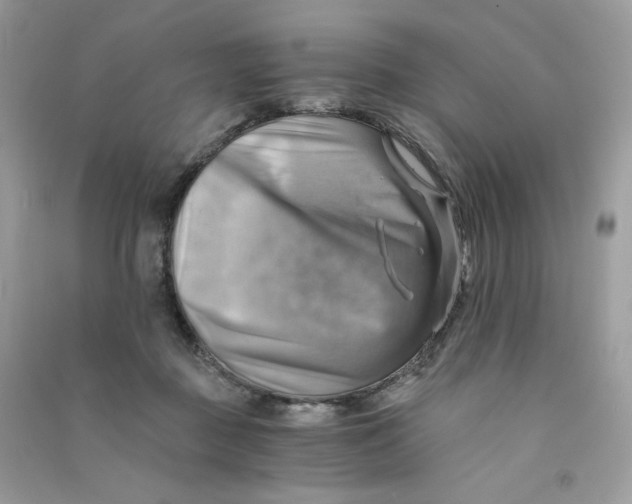 X0000090780363200708172133