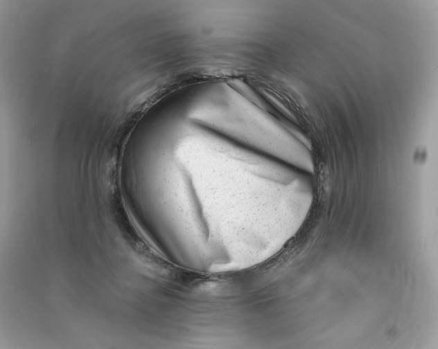X0000090780364200708172133