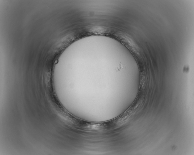 X0000090780365200708172133