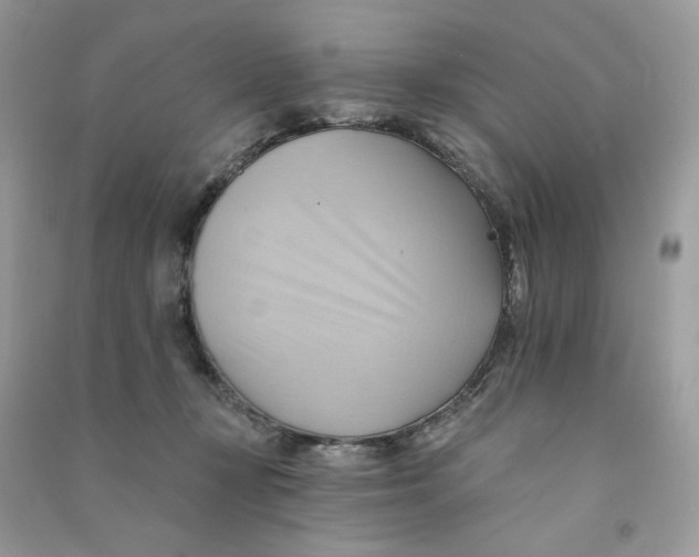 X0000090780367200708172133