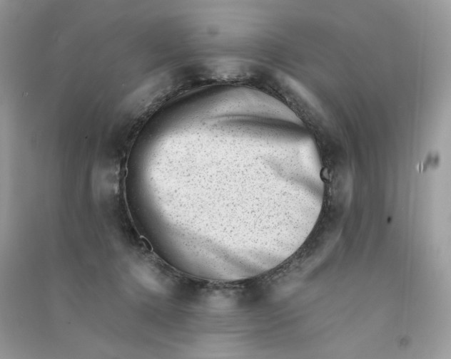 X0000090780368200708172133
