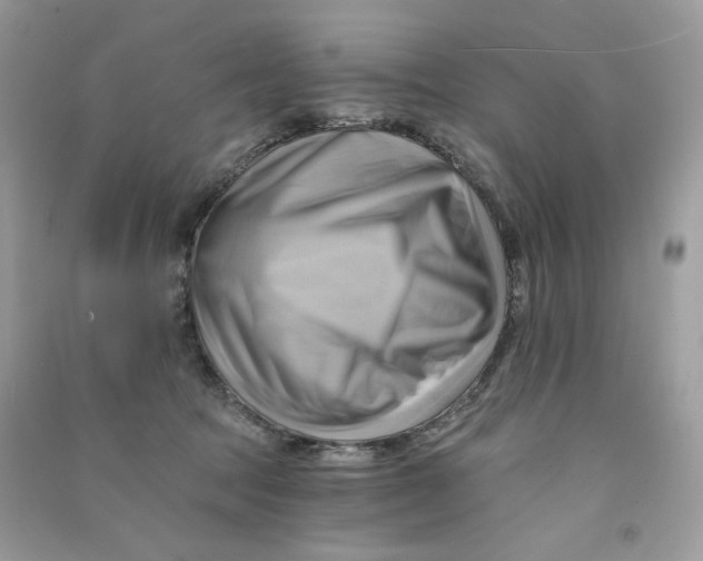 X0000090780369200708172133