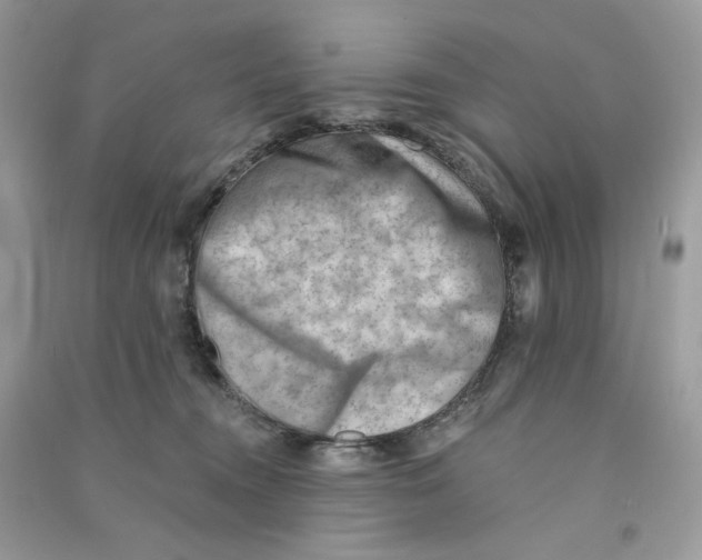 X0000090780372200708172133