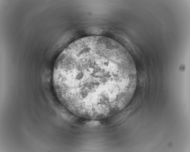 X0000090780374200708172133
