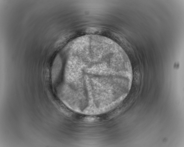 X0000090780375200708172133