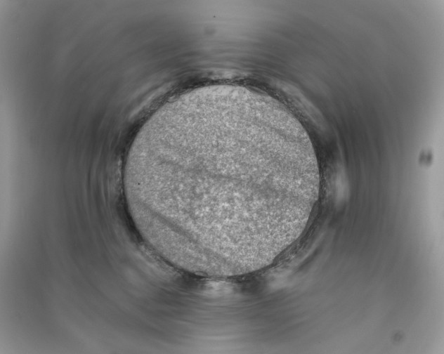 X0000090780376200708172133