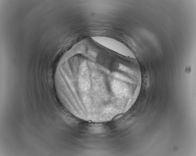 X0000090780377200708172133