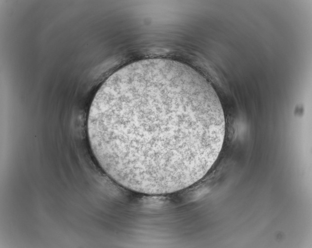 X0000090780378200708172133